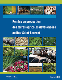 Page couverture du document Remise en production des terres agricoles dévalorisées au Bas-Saint-Laurent
