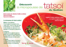 Fiche-recette - La micropousse de tatsoï