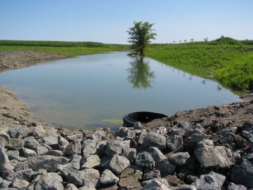 BSES aménagé de type « bassin humide »