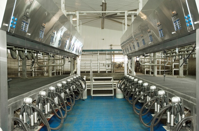 Système de traite en production laitière