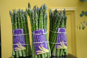 Les asperges de La Sublime Asperge de St-Aimé-de-Richelieu