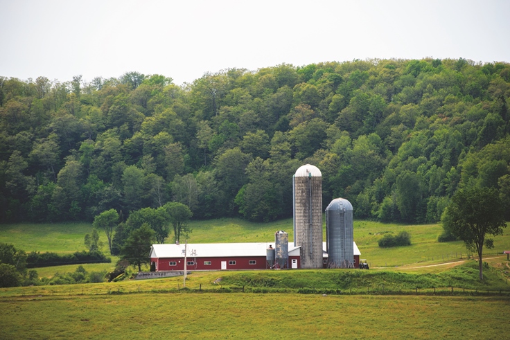 Ferme