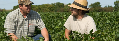 Agronomes, conseillers et spécialistes en agriculture