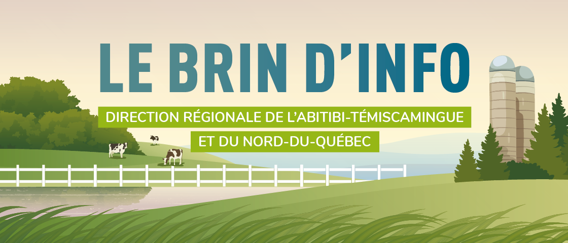 https://presse.mapaq.gouv.qc.ca/SiteCollectionImages/Regions/AbitibiTemiscamingue/BandeauWeb_560X240_Brin_d'info_v2.png